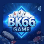 BK66