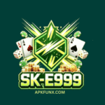 SK E999